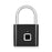 Fingerprint Smart Padlock - Odilistrade