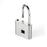 Fingerprint Smart Padlock - Odilistrade