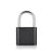Fingerprint Smart Padlock - Odilistrade